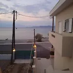 Constantsia Kato Assos