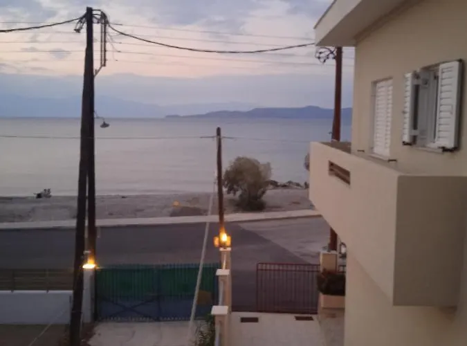 Constantsia Kato Assos