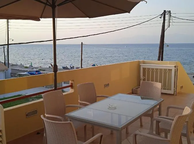 Constantsia Kato Assos