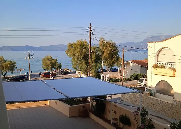 Constantsia Kato Assos