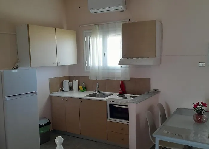 Constantsia Kato Assos